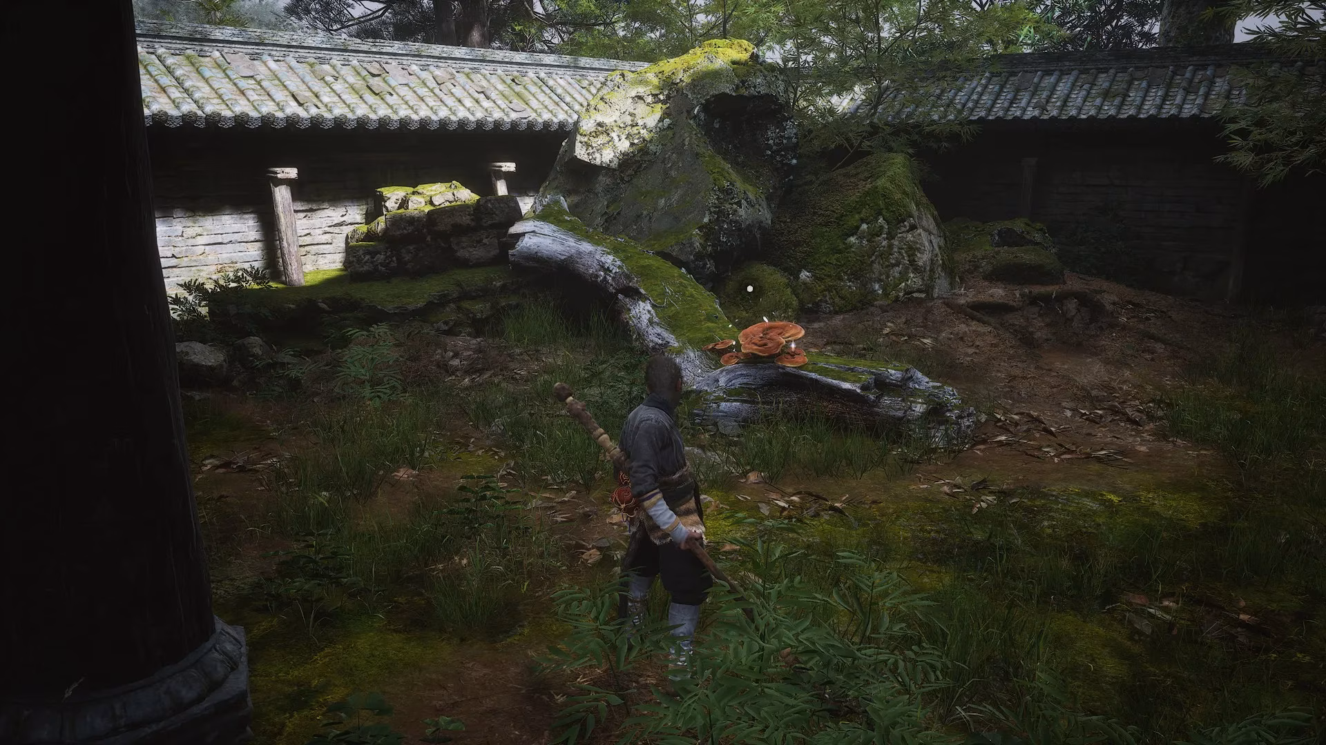 wukong-101-how-the-destined-one-can-outsmart-every-demon-without-losing-his-will-image-0