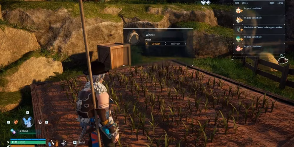 how-to-get-and-use-wheat-seeds-in-palworld-image-0